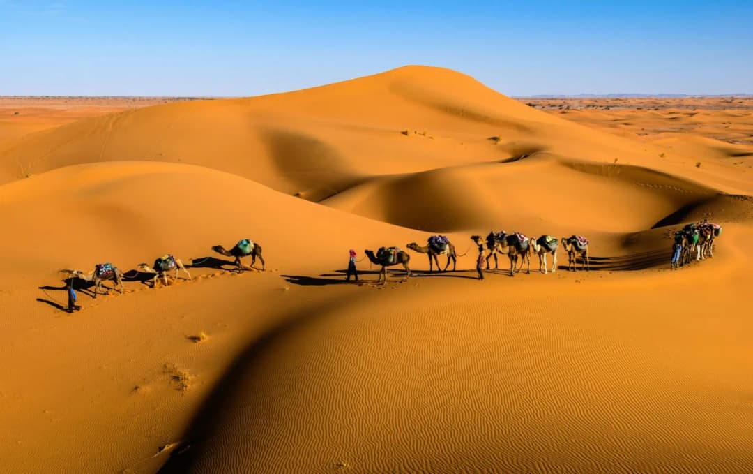 Morocco Trip 🐪
